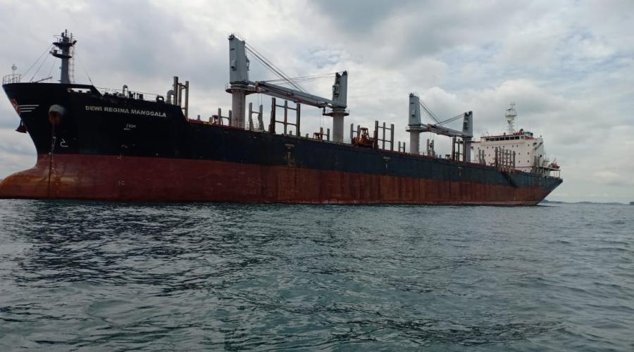 MV. DEWI REGINA MANGALA/ GT.19728